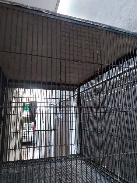6 Portion cage for sale 6