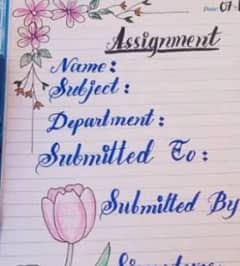 I am assignment writer