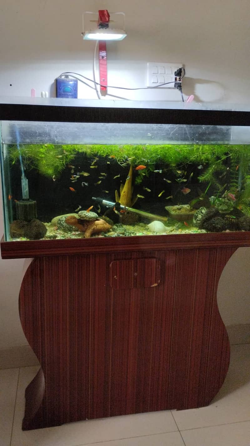 3 feet Aquarium with wooden base for urgent  sale 1