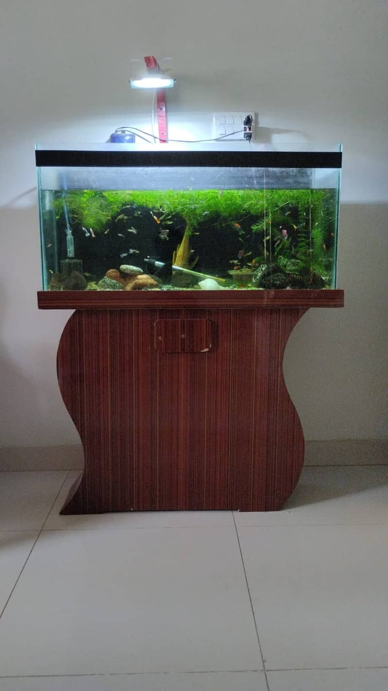 3 feet Aquarium with wooden base for urgent  sale 2