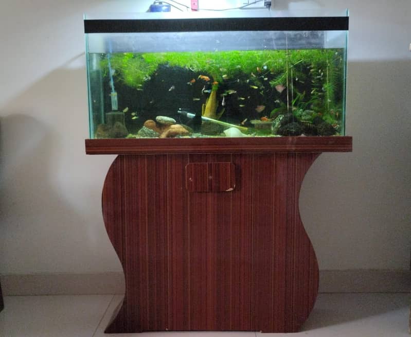 3 feet Aquarium with wooden base for urgent  sale 3