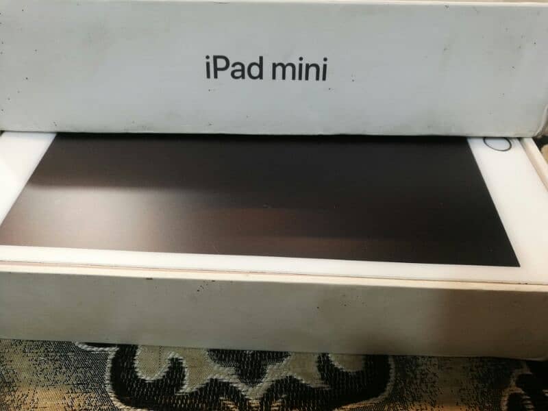 iPad mini 5 256 4