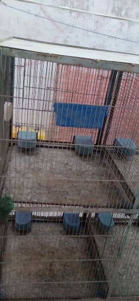 6 portion Cage for sale 1