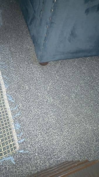 room carpet grey clour 0