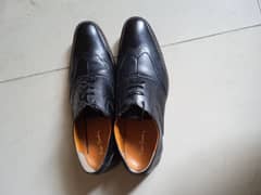 Pierre Cardin wingTip leather Shoes