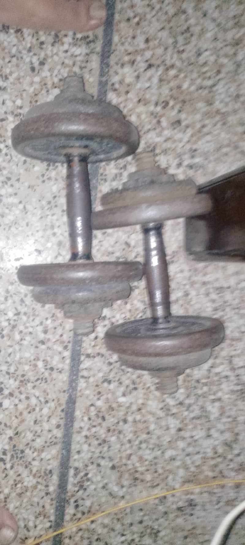 Two dumbell 1