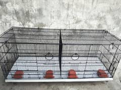 Master Big size cage(pinjra) for love bird, cocktail, parrots