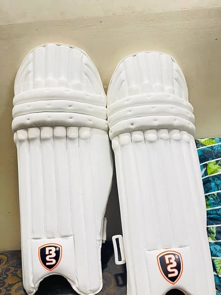 Bs Cricket pads 0