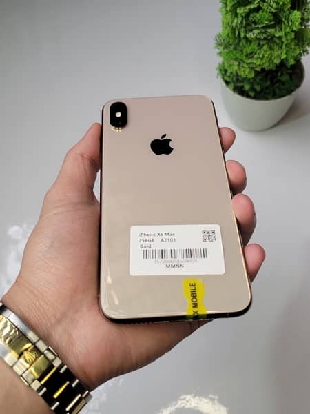 Xs Max 256GB PTA APPROVED 1