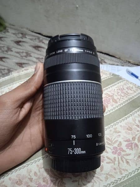 canon 75-300 lenz 2