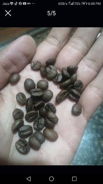 coffee beans using cafe Purpose item's available 6