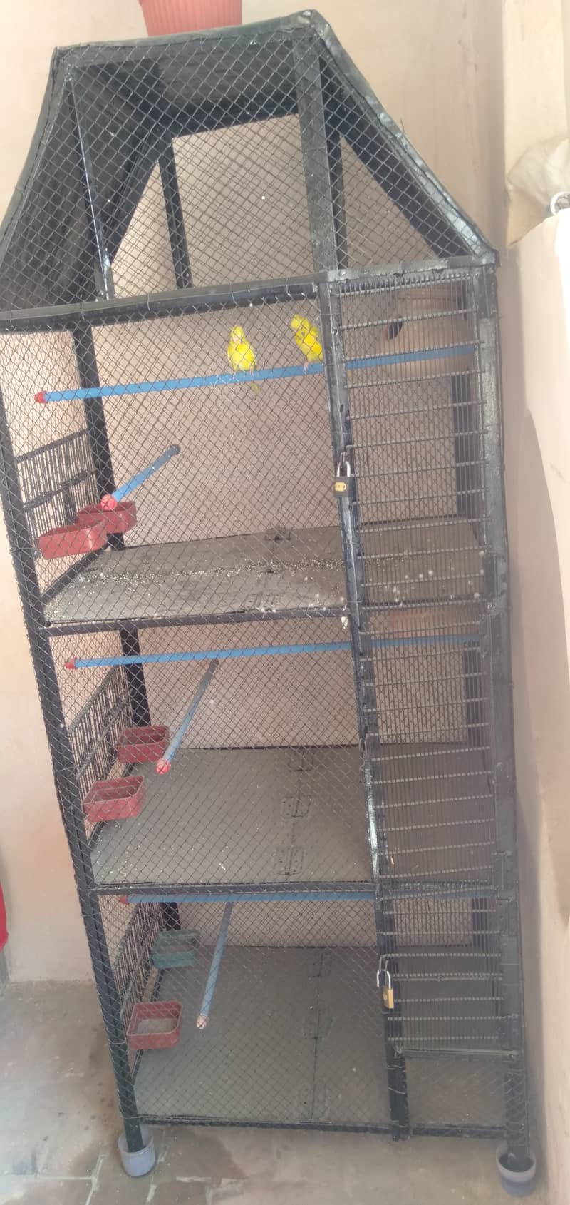 Parrot cage 0