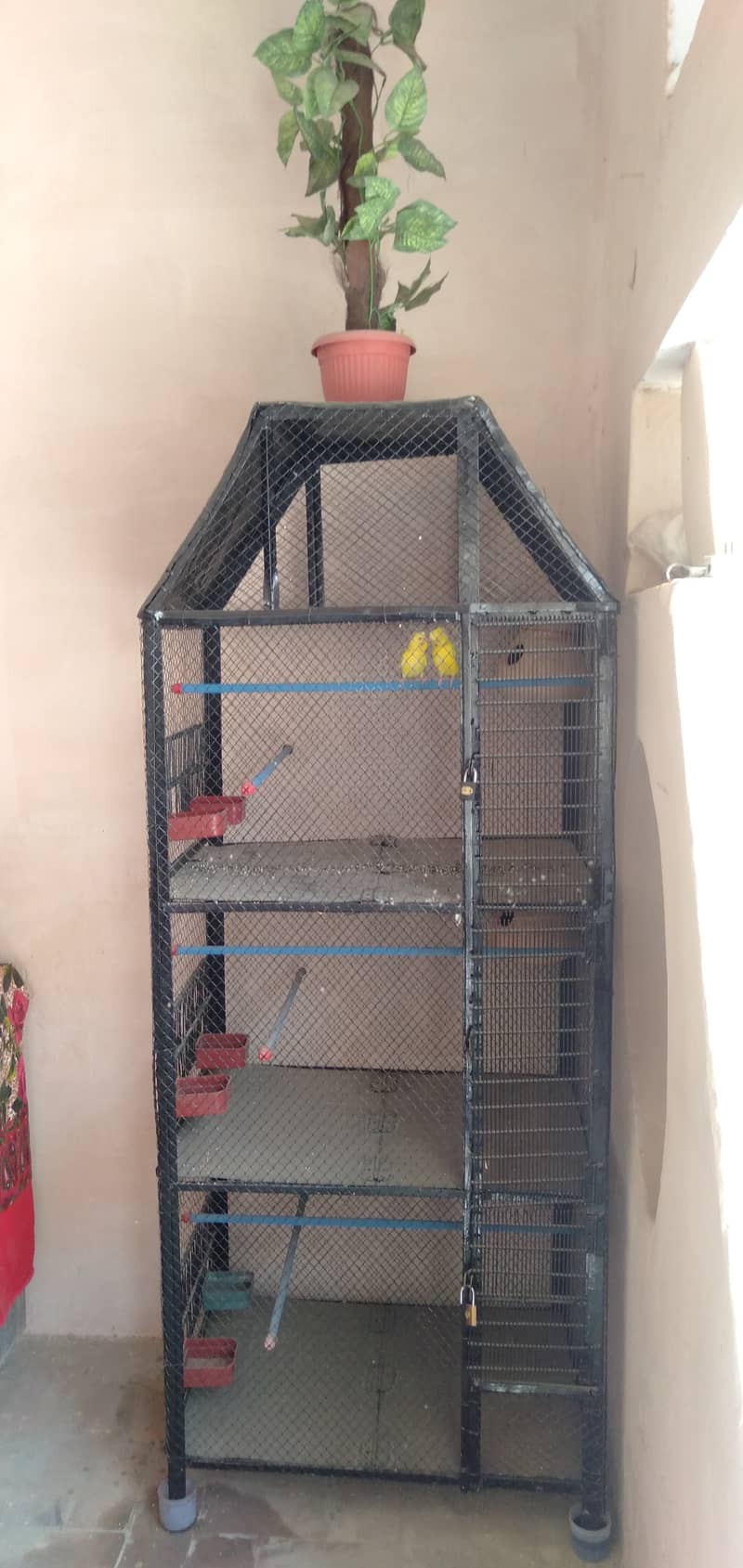 Parrot cage 1