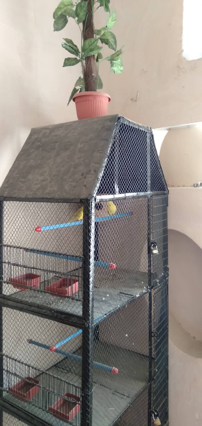 Parrot cage 2