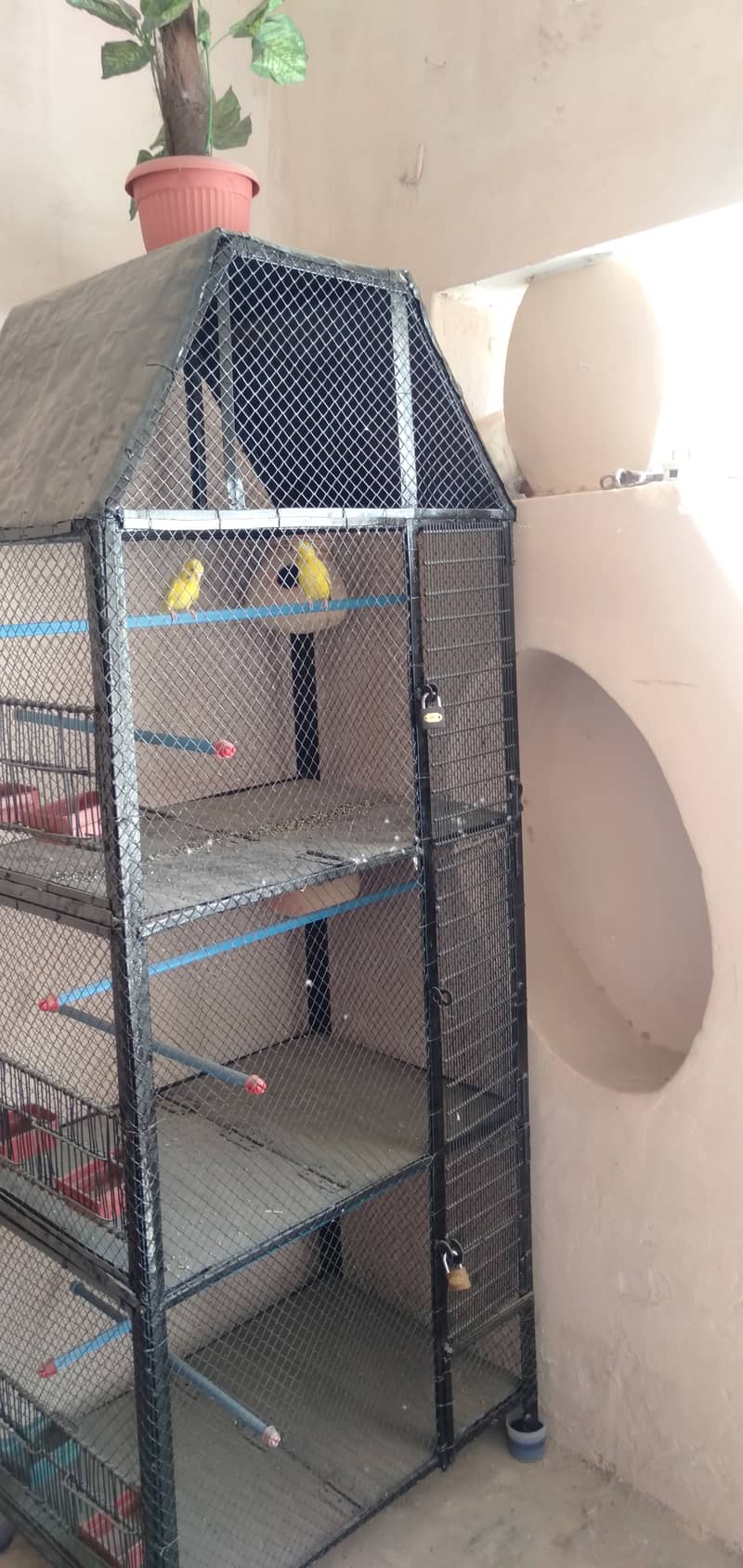Parrot cage 3