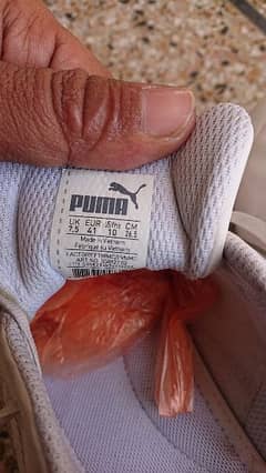 puma white  sneakers