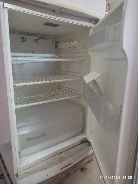 PEL Refrigerator in blended grey color. Excellent summer breaker! 3