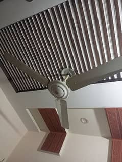 Fan 48 inches for sale