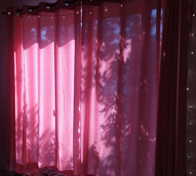 Pink Curtains 1