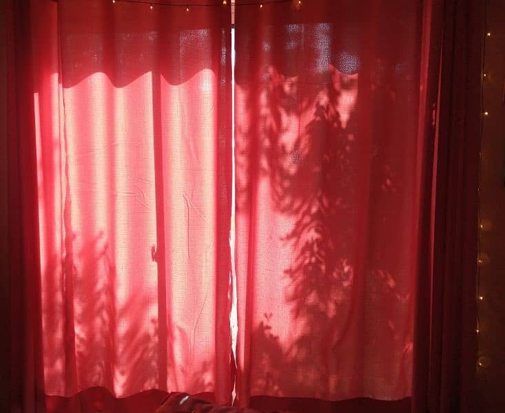 Pink Curtains 2