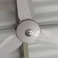 celling fans 10pieces 10/10 in condition copper 99.99%