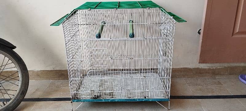 cage parrot 3