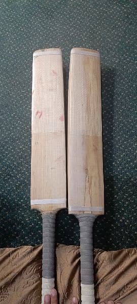 2 Cricket hard ball bats. One for Practise and one for match 1