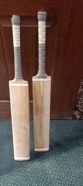 2 Cricket hard ball bats. One for Practise and one for match 4