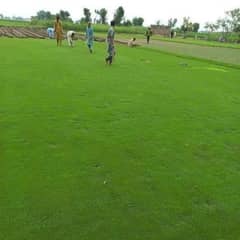 lash green grass for Gardening
