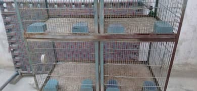 6 portion Cage for sale