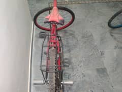Phoenix cycle used special for whiling Rider 0