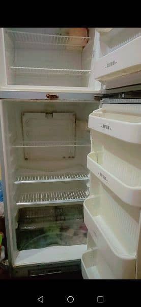 fridge 7