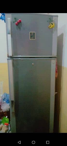 fridge 11