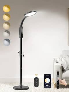 Rechargeable Floor Lamp With Remote 0
