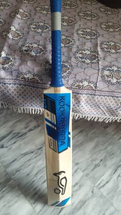 Kookabura Hardball Bat