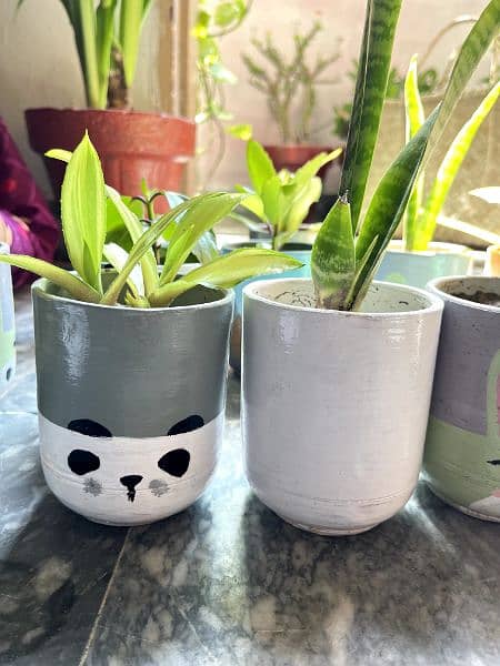customize pots with plants,indoor and outdoor decorations 0