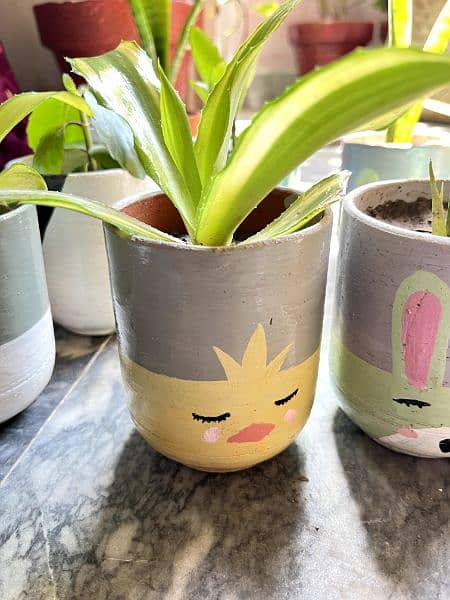 customize pots with plants,indoor and outdoor decorations 2