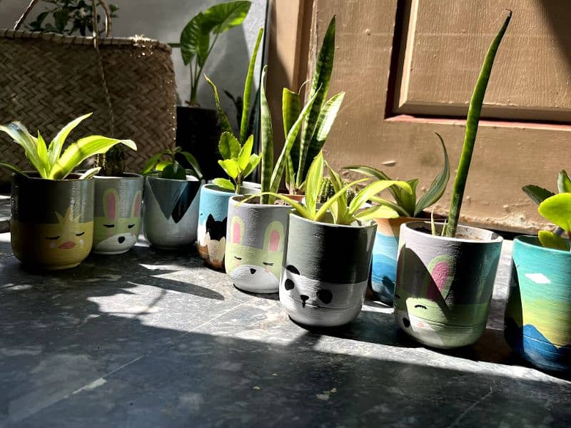 customize pots with plants,indoor and outdoor decorations 4