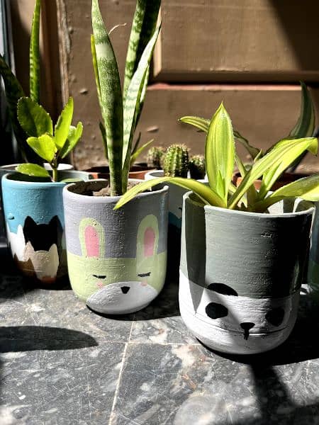 customize pots with plants,indoor and outdoor decorations 5
