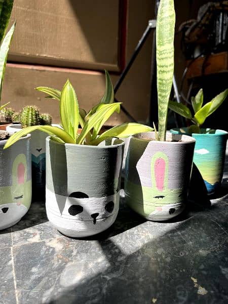 customize pots with plants,indoor and outdoor decorations 6