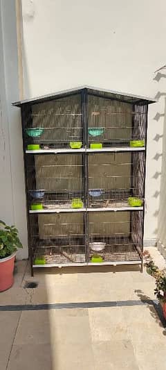 6 compartment Iron Cage for Parrot