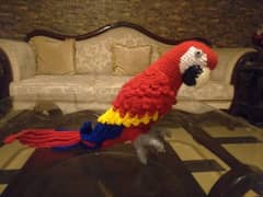 Macaw Parrot Toy for Sale Rs. 15,000 and Rabbit Toy for Sale Rs. 1,000 0