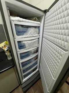 Brand New Dawlance freezer