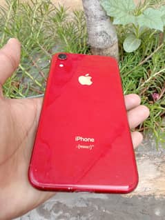 iPhone XR pta double sim 64 GB red color