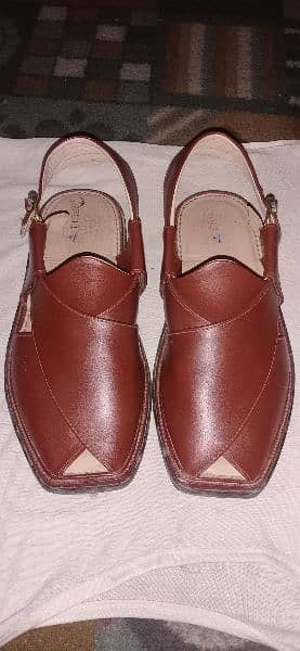 Fresh charsadwal shoes 10# number 4