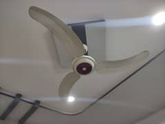 4 Used GFC Ceiling Fans Copper Motors for Sale Durable and Reliable!
