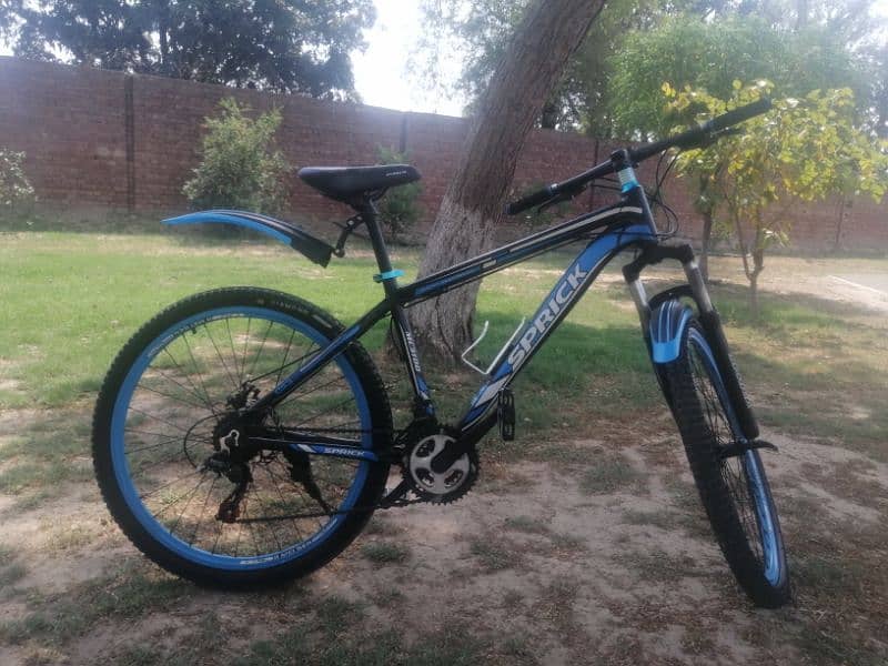 Mountain bicycle, used, with original condition 0