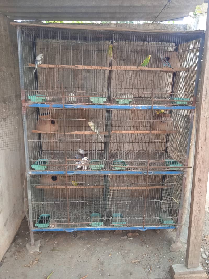 6 portion Cage + budgie's 2