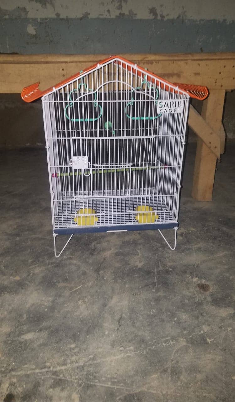 0346-1400171 Cage Pinjra Parrot Bajri Australian Tota Pahari Raw Green 5