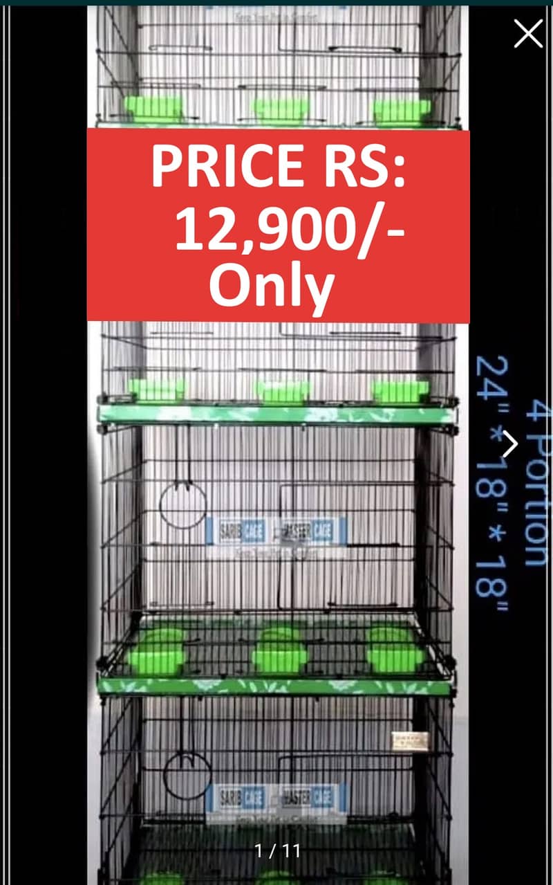 0346-1400171 Cage Pinjra Parrot Bajri Australian Tota Pahari Raw Green 16